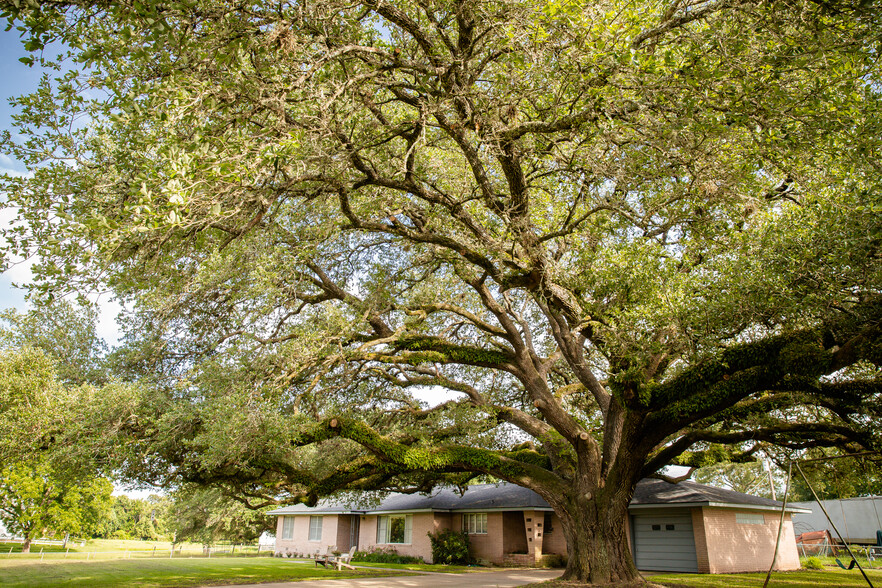 6673 Old Mill Creek Rd, Brenham, TX for sale - Primary Photo - Image 1 of 1