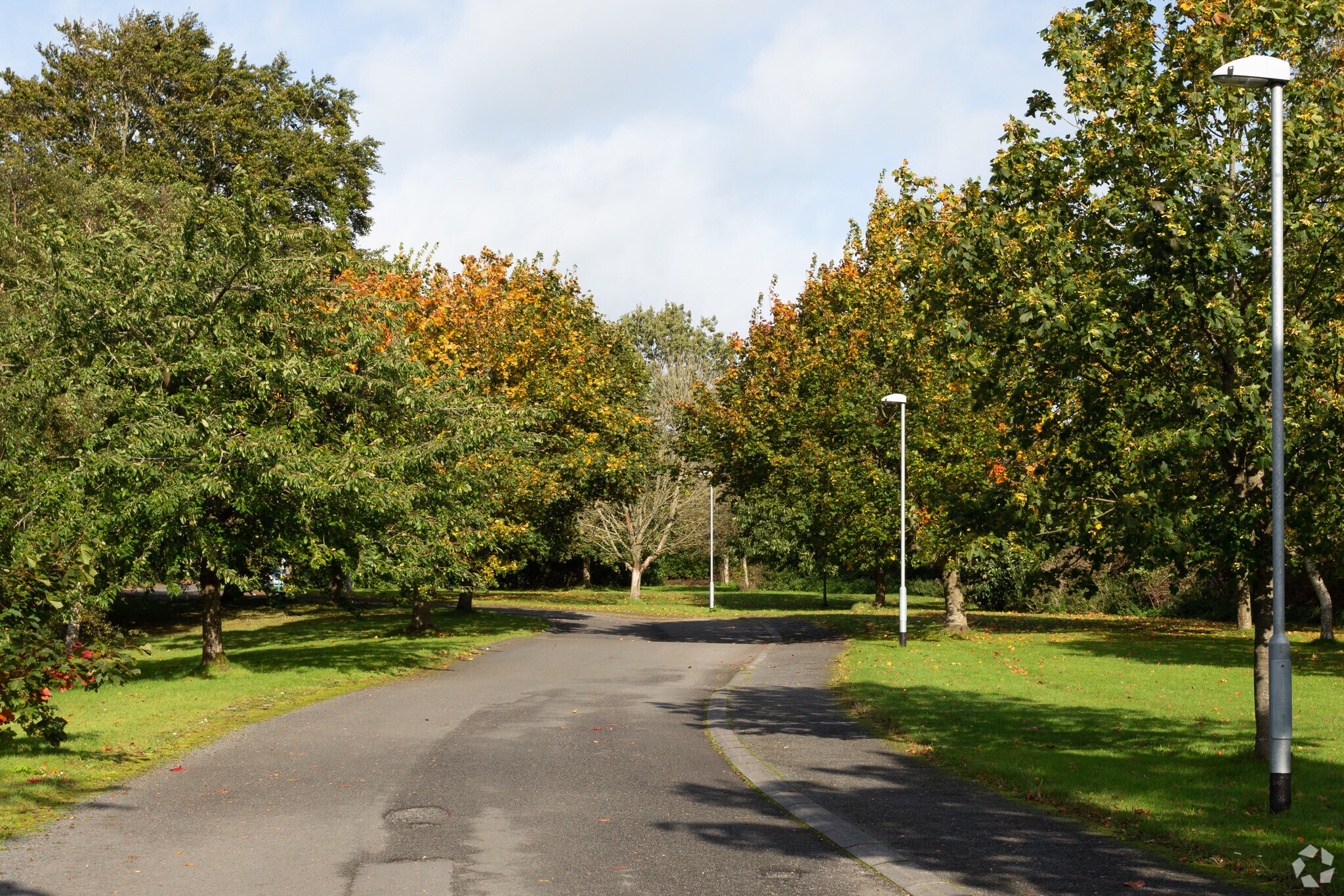 Strangford Rd, Downpatrick for sale Primary Photo- Image 1 of 1