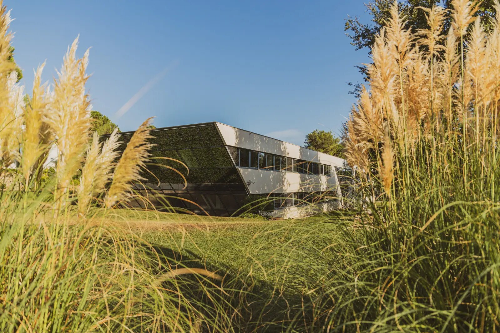 300 Rue Du Vallon, Valbonne to rent Building Photo- Image 1 of 7