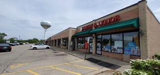 More details for 381-457 N Wilson Rd, Round Lake, IL - Retail for Rent