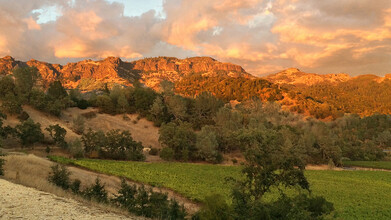 Old Lawley Toll Road, Calistoga, CA for sale Other- Image 1 of 28