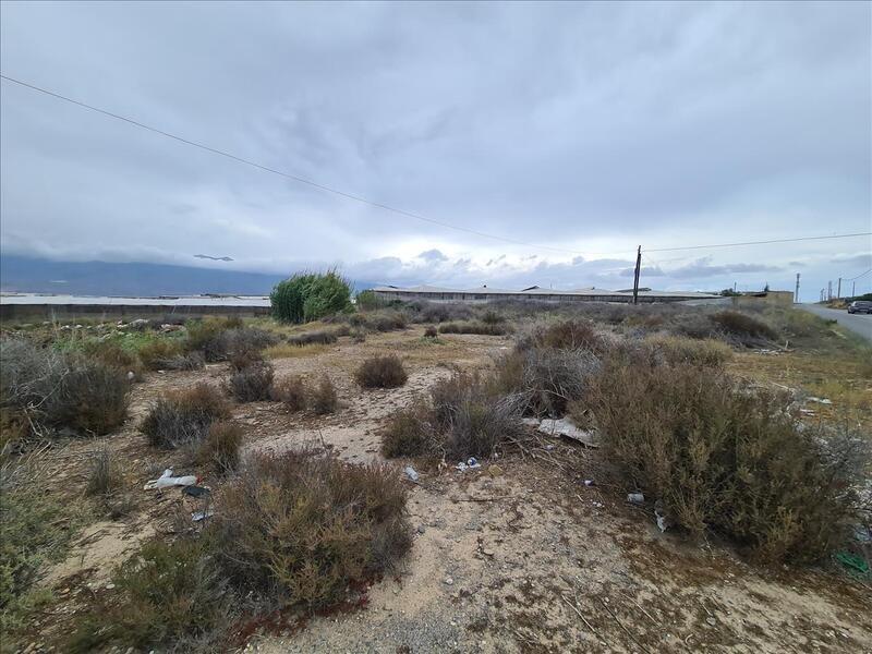 Land in El Ejido, Almería for sale Primary Photo- Image 1 of 2