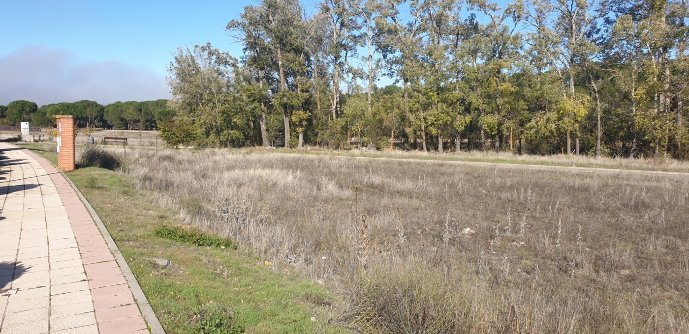 Land in Aldeamayor de San Martín, Valladolid for sale Primary Photo- Image 1 of 26