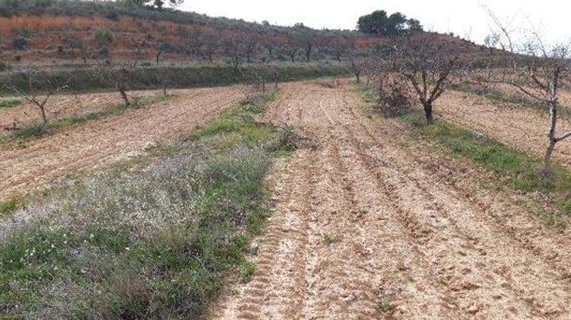 Camino de los Charquillos, Yecla, Murcia to rent - Site Plan - Image 2 of 12
