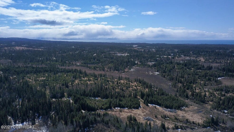 37295 Sterling Hwy, Homer, AK for sale - Primary Photo - Image 1 of 1