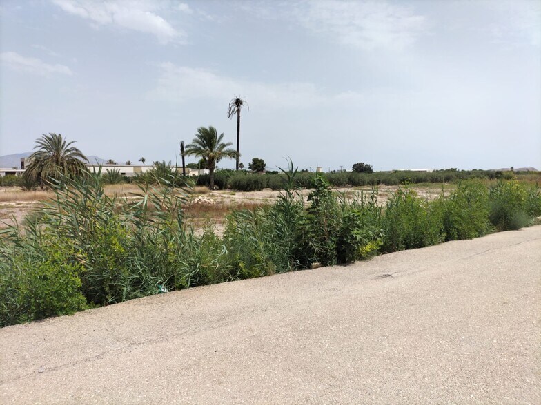 Land in Cox, Alicante for sale - Building Photo - Image 3 of 3
