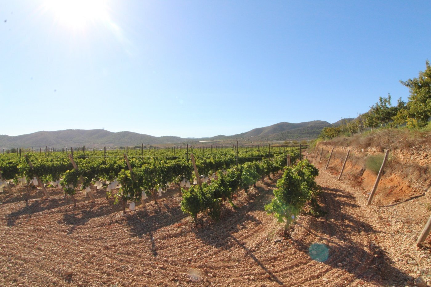 Land in La Romana, Alicante for sale Aerial- Image 1 of 8