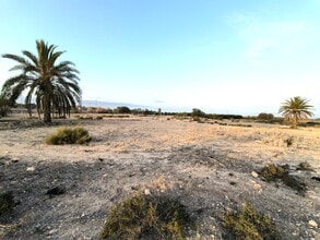 Elche, ALI - Aerial map view - Image1