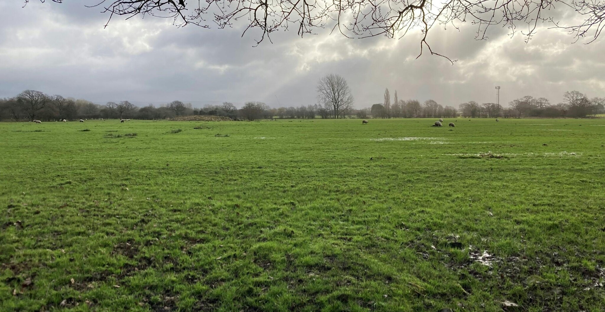 Hall Moss Ln, Stockport for sale Building Photo- Image 1 of 1