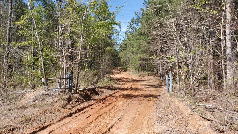 0 Silver Creek Road, Chance, AL for sale - Building Photo - Image 3 of 12