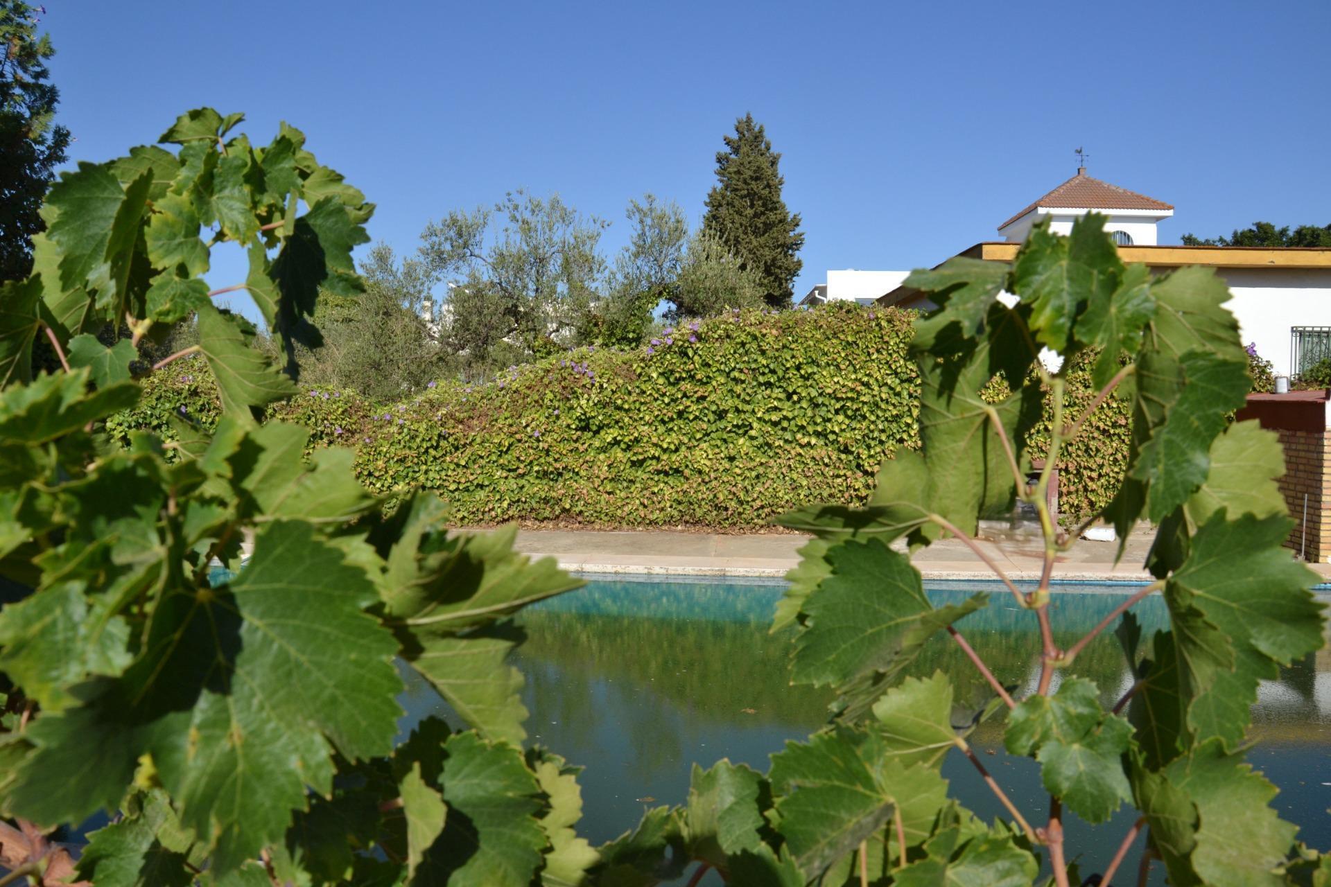 Land in Espartinas, Sevilla for sale Building Photo- Image 1 of 27