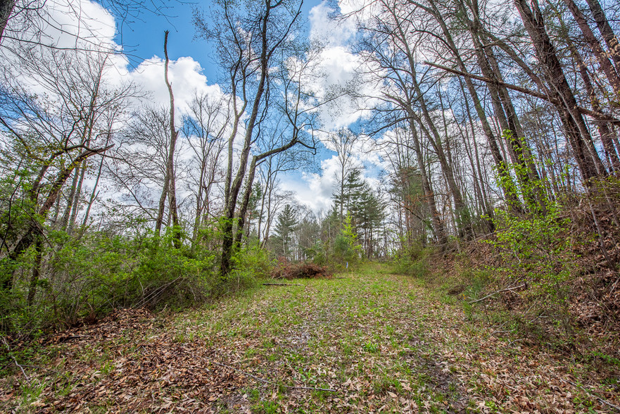 55 Garrison Branch Rd, Weaverville, NC for sale - Building Photo - Image 1 of 1