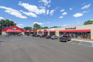 More details for 9219-9301 Wayne Rd, Romulus, MI - Retail for Rent