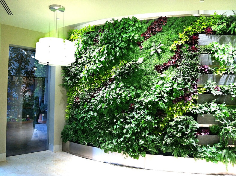 770 Tamalpais Dr, Corte Madera, CA to rent - Interior Photo - Image 2 of 13