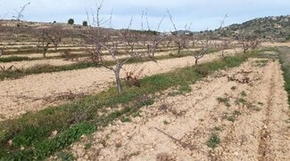 More details for Camino de los Charquillos, Yecla - Land to Rent