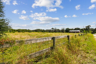 More details for 0000 Collins Ranch -1, Thonotosassa, FL - Land for Sale