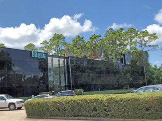 More details for 25227 Grogans Mill Rd, The Woodlands, TX - Office/Medical for Rent