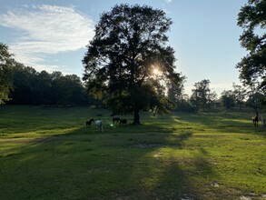 8182 County Road 53, Auburn, AL for sale Other- Image 1 of 23