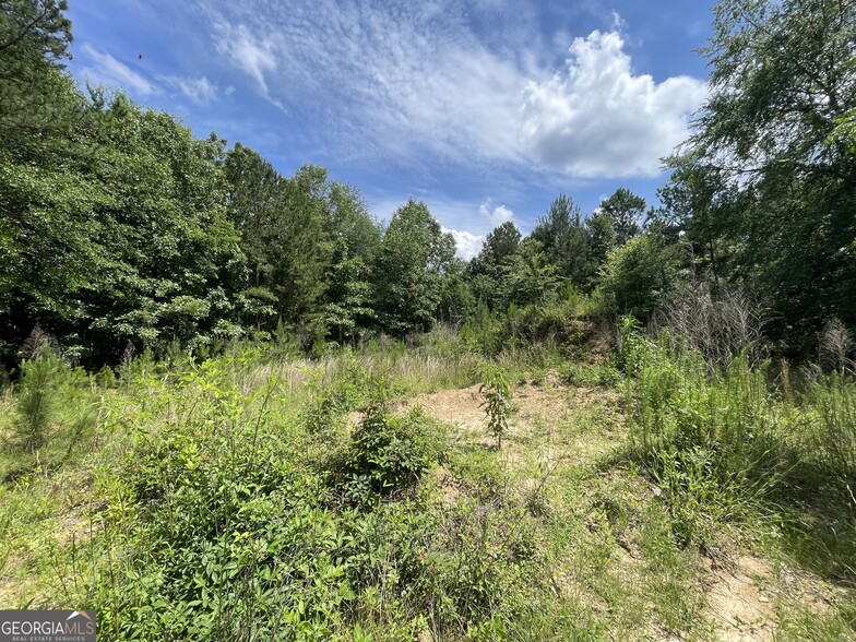 0 Fallen Branch Circle Southeast, Rome, GA for sale - Interior Photo - Image 3 of 39