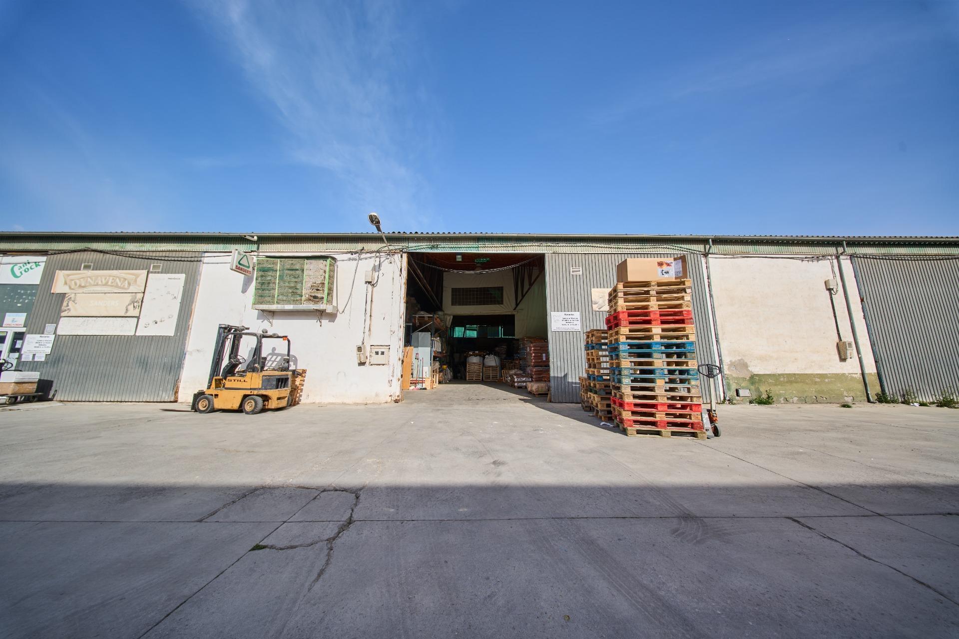 Industrial in Atarfe for sale Building Photo- Image 1 of 40