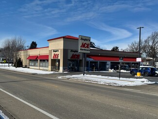 More details for 1158 Lillian St, Elgin, IL - Retail for Sale