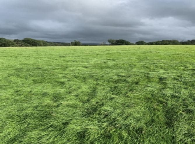 Land Bwlarth Derwydd Rd, Ammanford for sale Primary Photo- Image 1 of 1