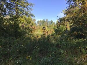 More details for TBD US 23 S hwy, Wise, VA - Land for Sale