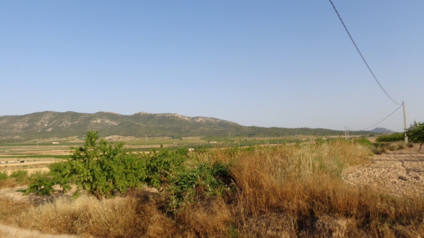 Land in Salinas, Alicante for sale Aerial- Image 1 of 17