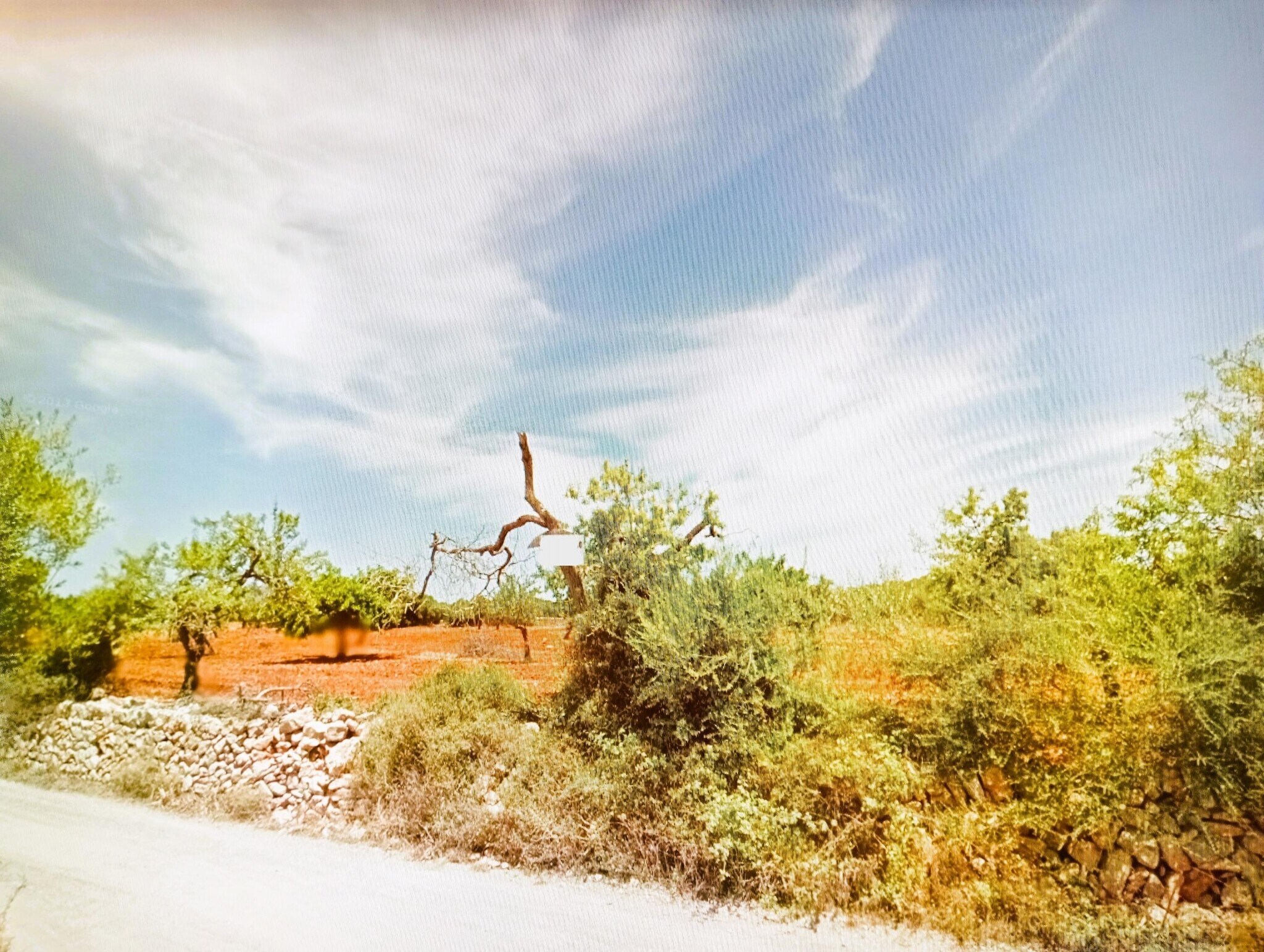 Land in Manacor, Islas Baleares for sale Primary Photo- Image 1 of 3