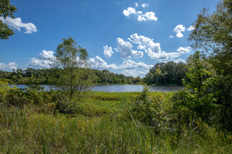 Hearn Rd Cairo Rd White ln, Pheba, MS for sale Primary Photo- Image 1 of 34