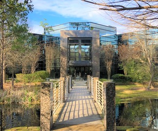 More details for 8686 New Trails Dr, The Woodlands, TX - Office for Rent