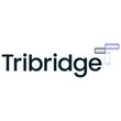 Tribridge