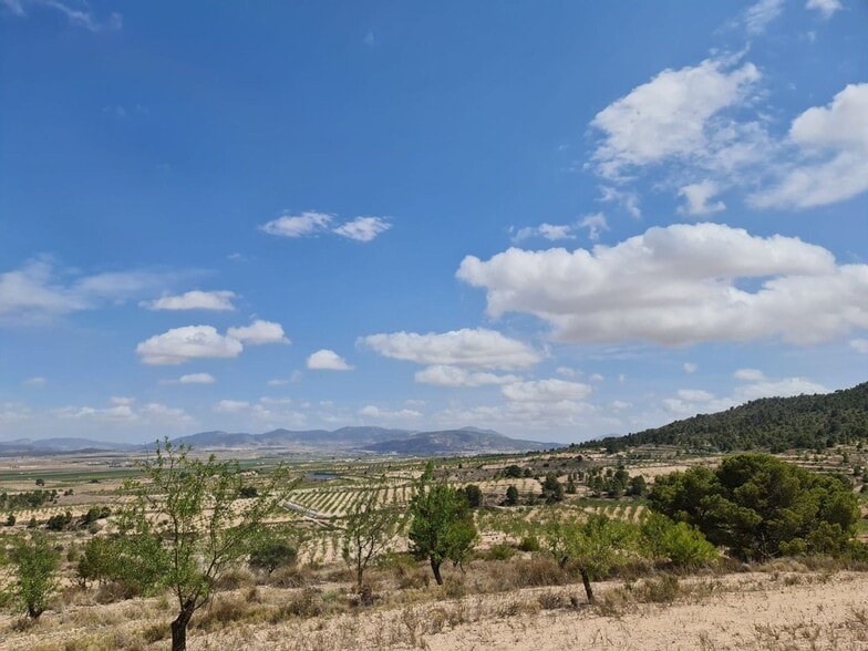 Land in MURCIA for sale - Aerial - Image 3 of 29