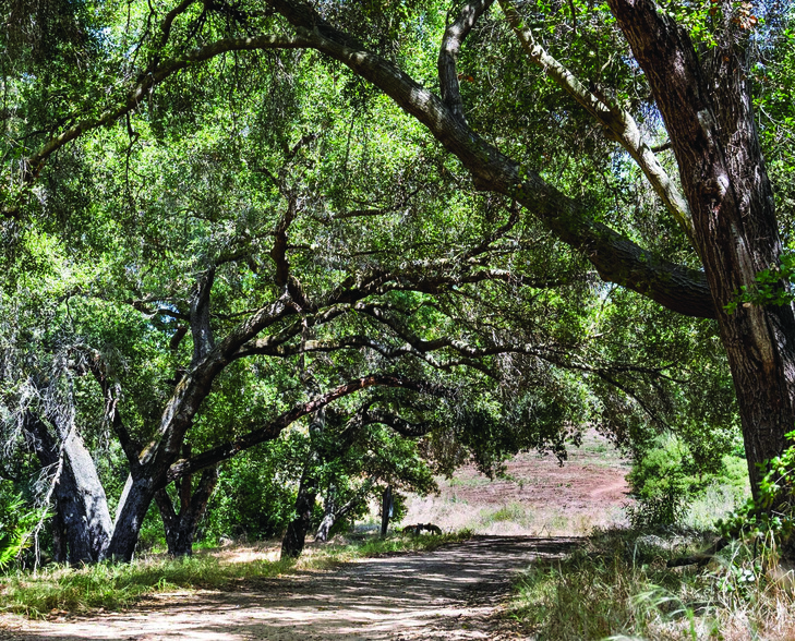 17150 Old Coach Rd, Poway, CA for sale - Building Photo - Image 3 of 3