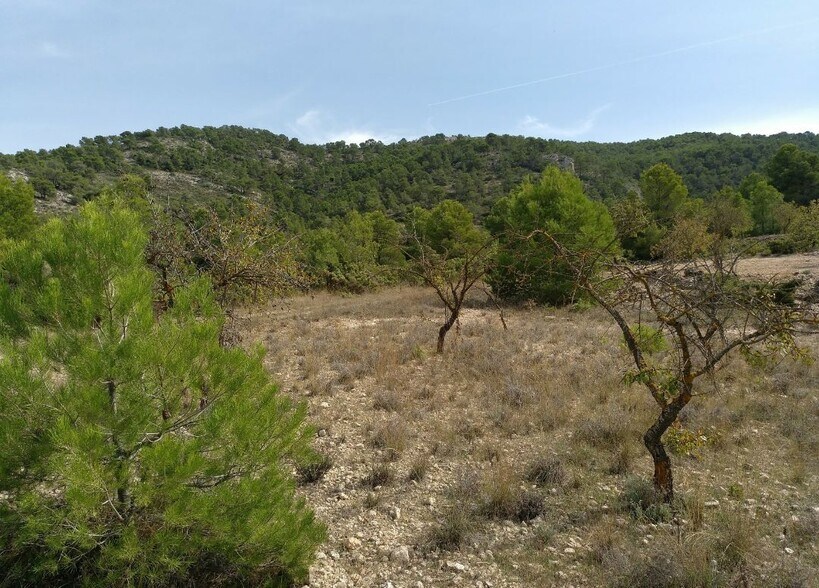 Land in Abanilla, Murcia for sale - Site Plan - Image 3 of 8
