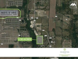 More details for 8830 CR 1219, Princeton, TX - Land for Sale