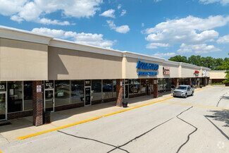 More details for 1015-1127 S Roselle Rd, Schaumburg, IL - Retail for Rent