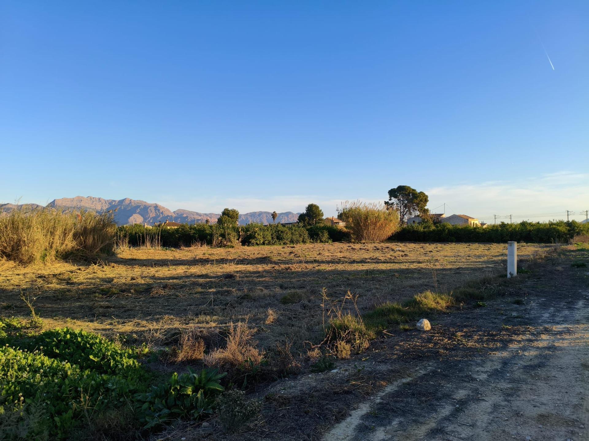 Brazal de la, 595, Murcia, Murcia for sale Site Plan- Image 1 of 8
