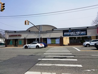 More details for 1358-1360 Willis Ave, Albertson, NY - Retail for Sale