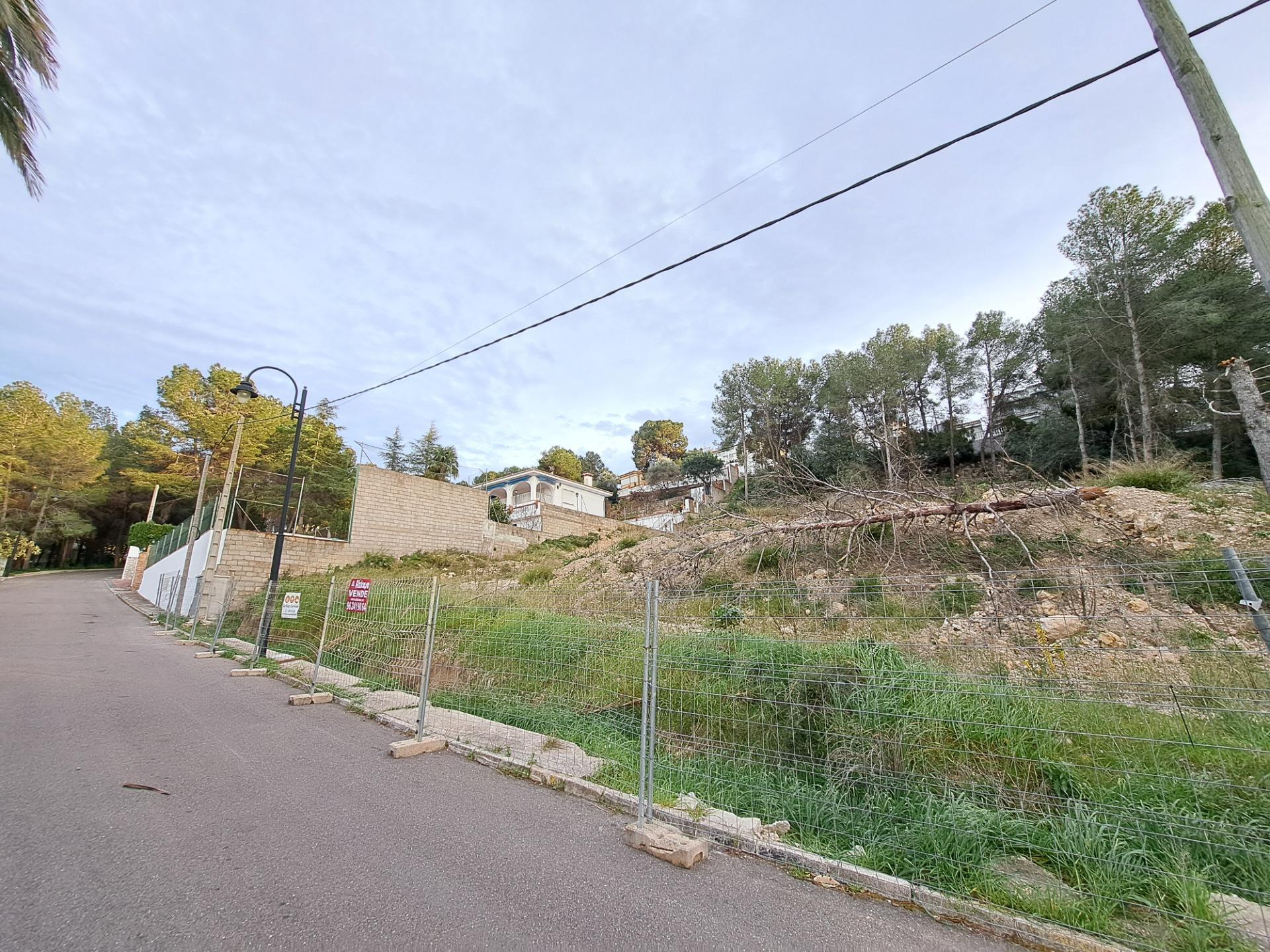 Marina Baixa, Alzira, Valencia for sale Primary Photo- Image 1 of 15