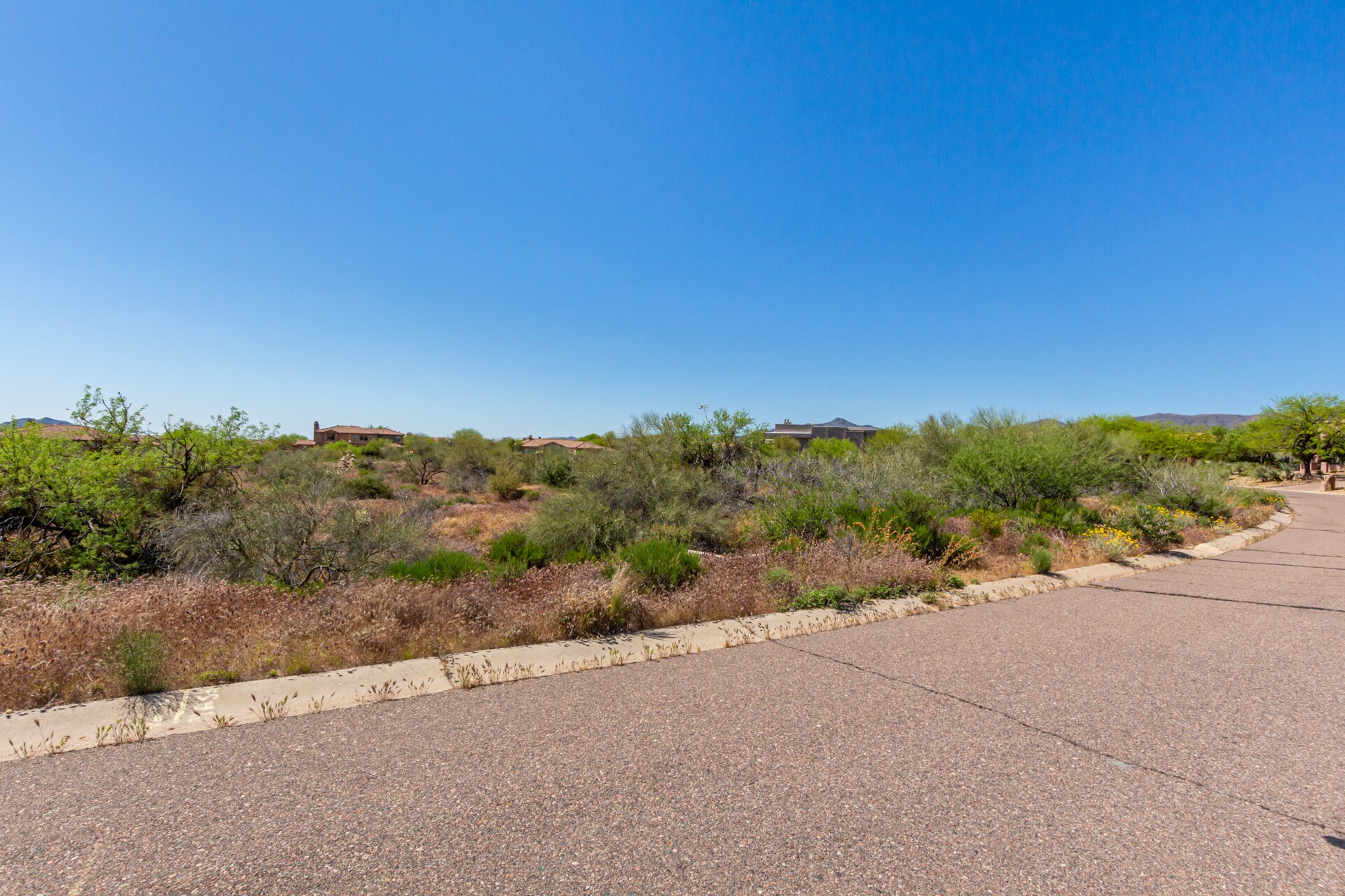 36484 N 110th Way, Scottsdale, AZ for sale Primary Photo- Image 1 of 1