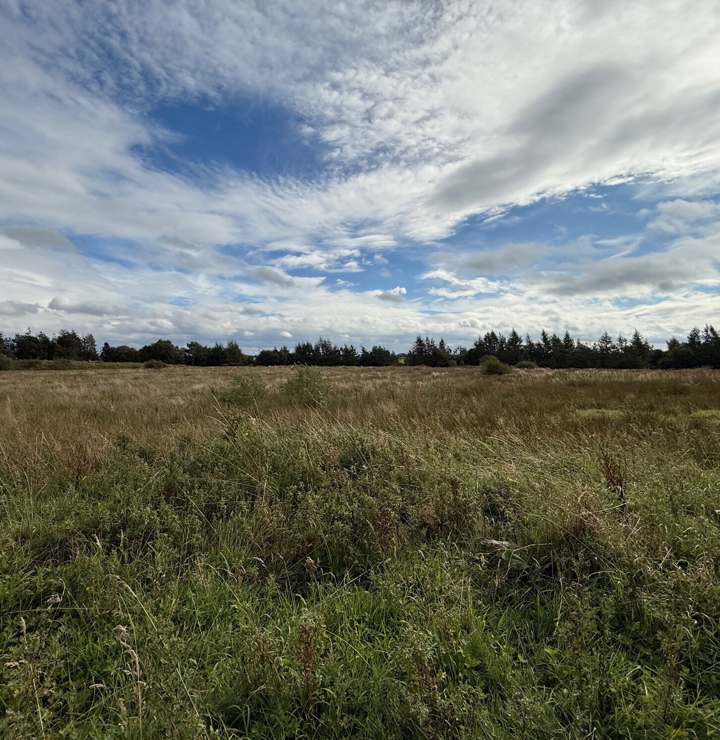 Hurlawcrook Rd, East Kilbride for sale Other- Image 1 of 3