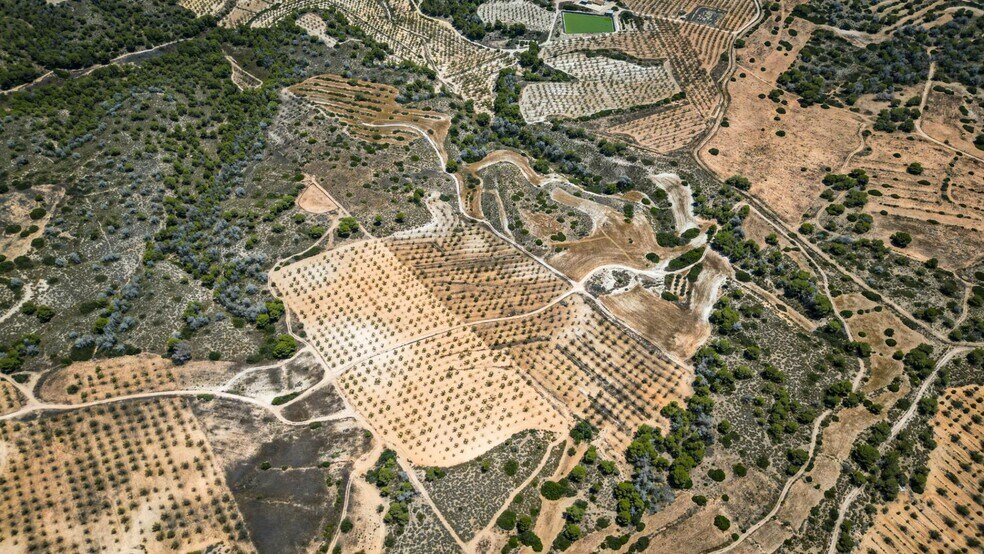 Polígono Pp Zb, 16, Murcia, Murcia for sale - Aerial - Image 3 of 6