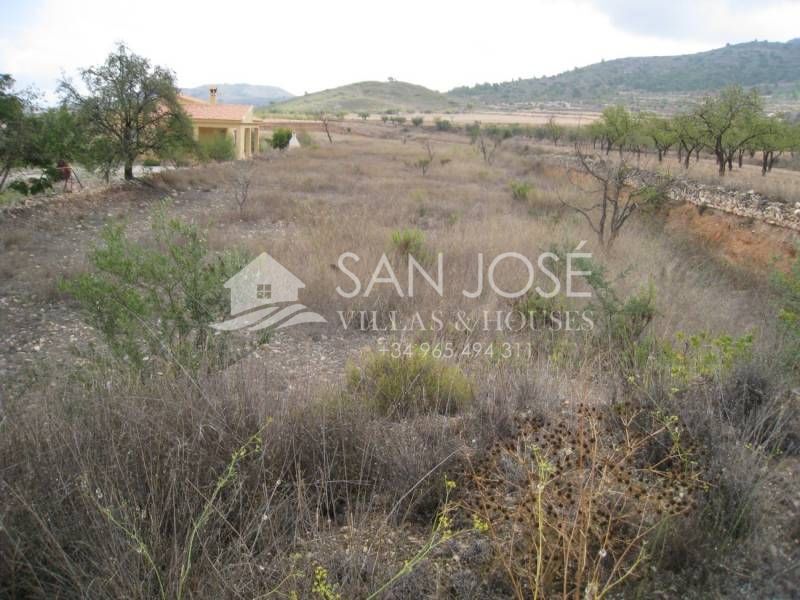Land in Hondón de los Frailes, Alicante for sale Site Plan- Image 1 of 4