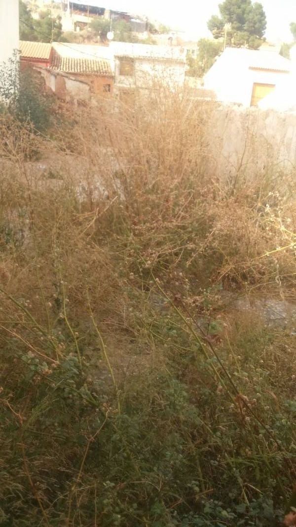 Land in MONÒVER, Alicante for sale Building Photo- Image 1 of 3