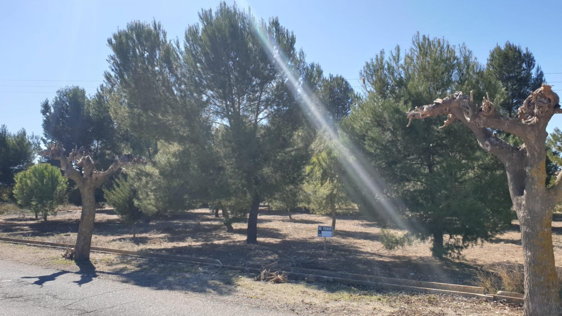 Land in Alicante, Alicante for sale Primary Photo- Image 1 of 5