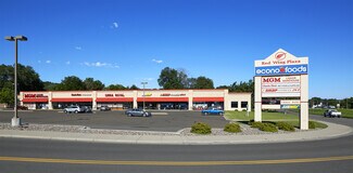 More details for 160 Tyler Rd S, Red Wing, MN - Retail for Rent