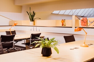 Tisbury Rd, Hove to rent Interior Photo- Image 2 of 9