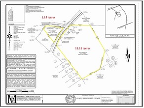 1781 Plunketts Rd, Buford, GA - aerial  map view - Image1