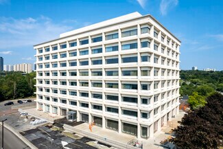 More details for 240 Duncan Mill Rd, Toronto, ON - Office to Rent